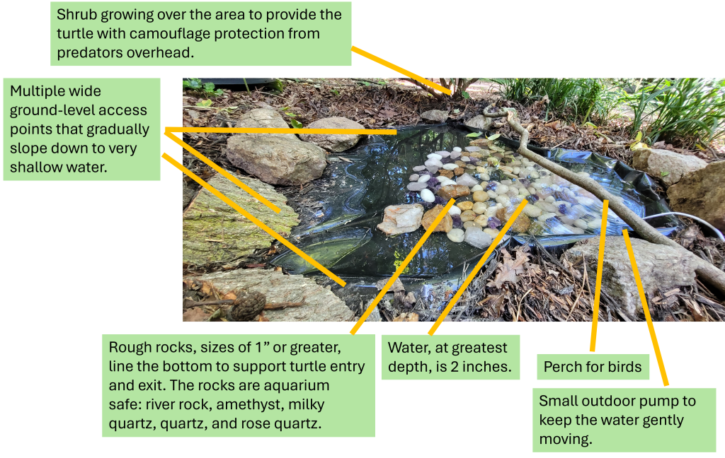 Box Turtle Oasis Diagram